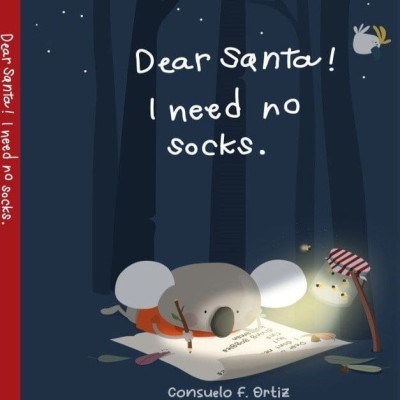 Dear Santa I Don’t Need Socks
